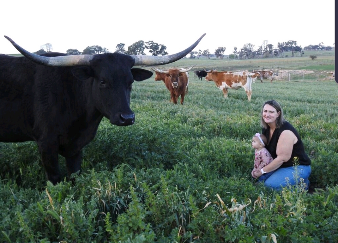 Woman with baby in paddock with cows