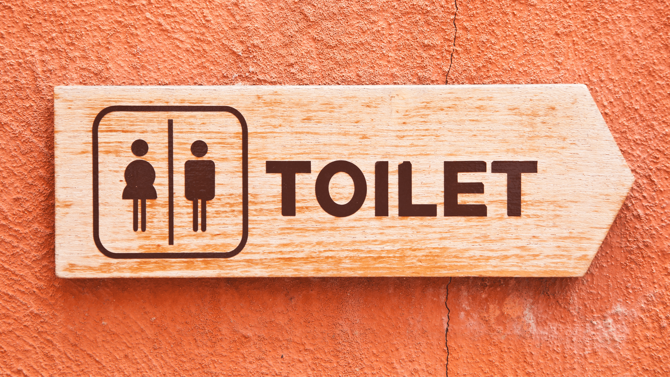 Picture of a toilet sign.
